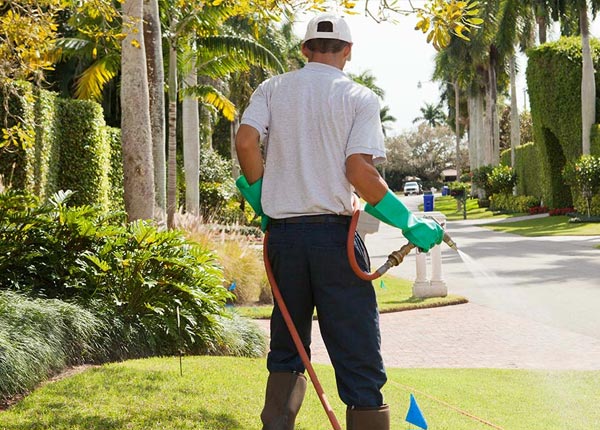 About Chickasaw OH Pest Control